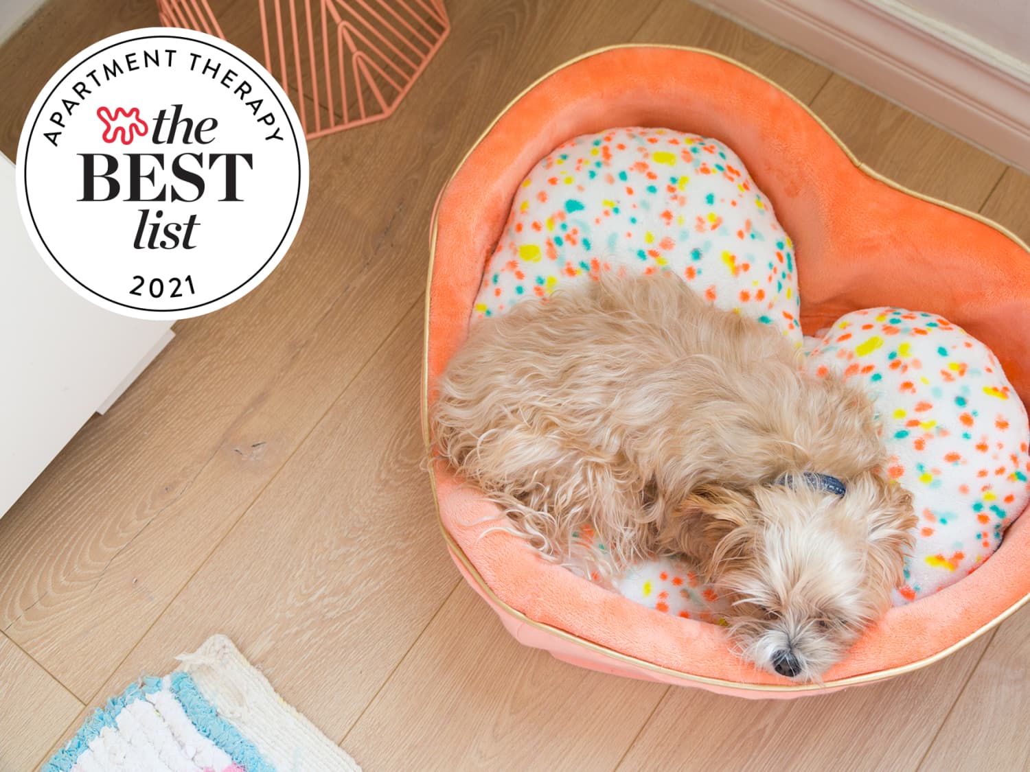 The Best Stylish Dog Beds for 2022 | Apartment Therapy