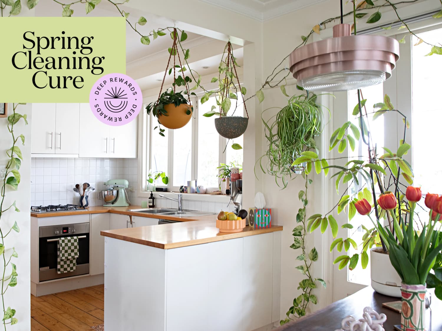 39 Ways to Make Spring Cleaning the Kitchen Weirdly Fun