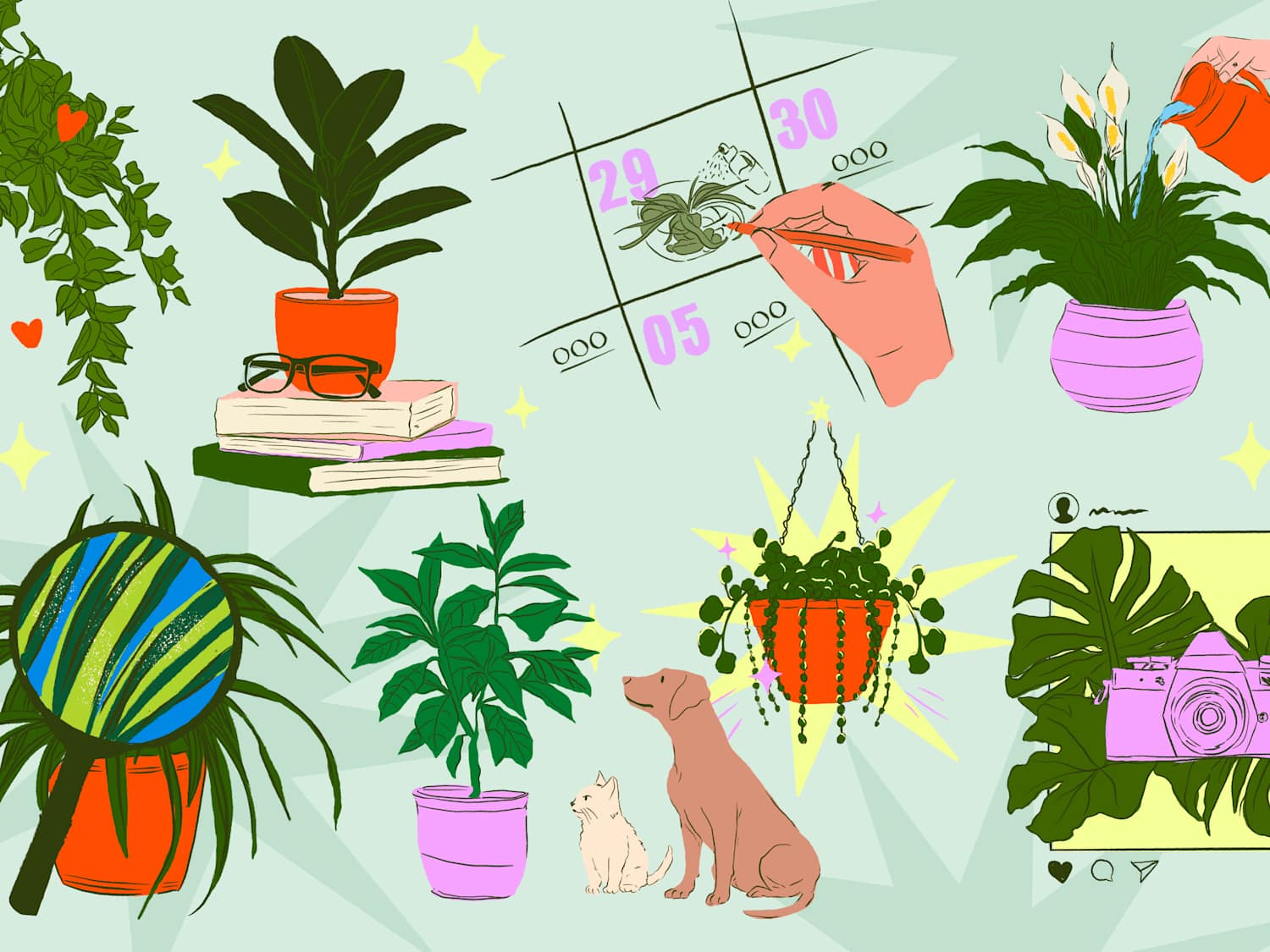 Your First Plant Personality, Based on Your Zodiac Sign | Apartment Therapy