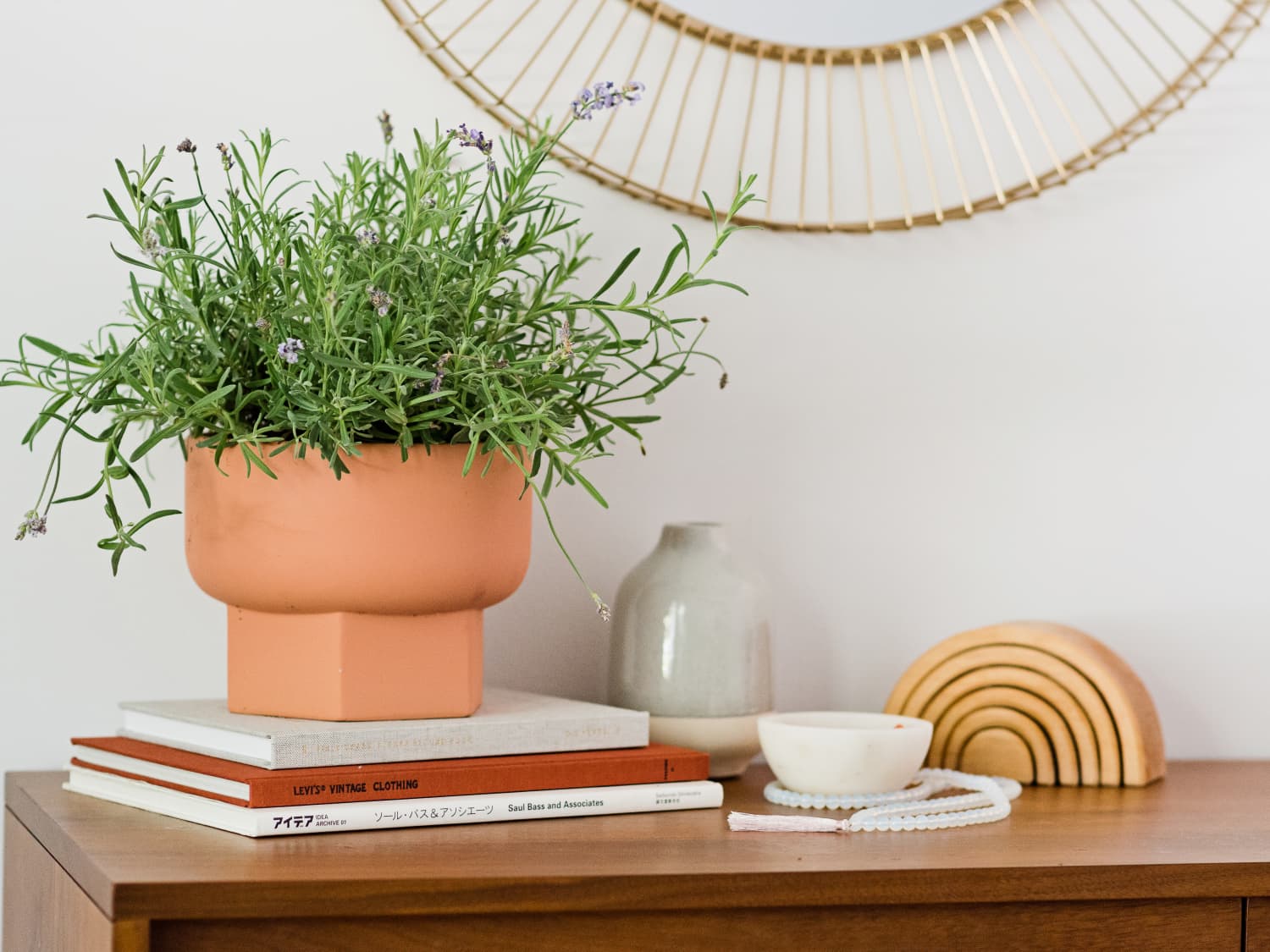 How To Grow Lavender Indoors Apartment Therapy