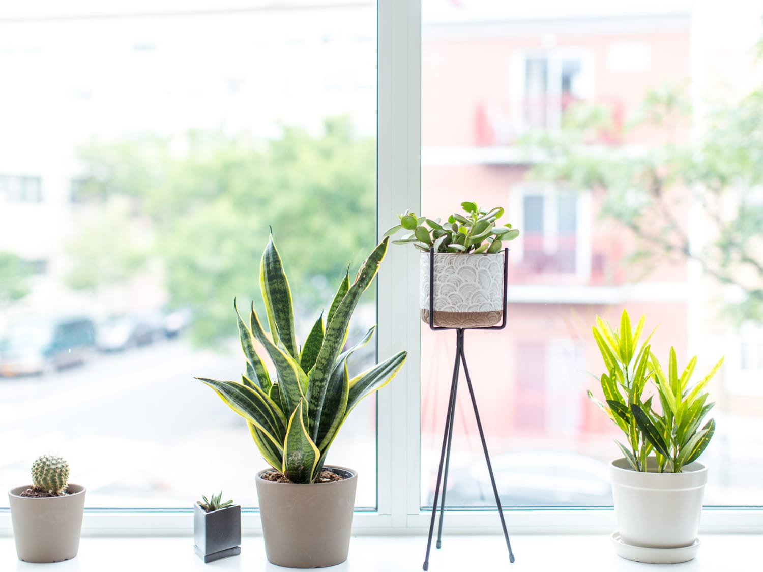 15 Best Places To Buy Planters Online Apartment Therapy