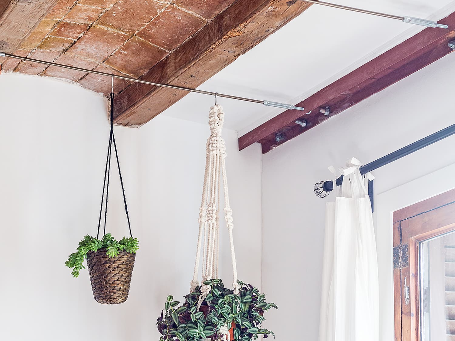 The Best Way to Hang Plants From The Ceiling