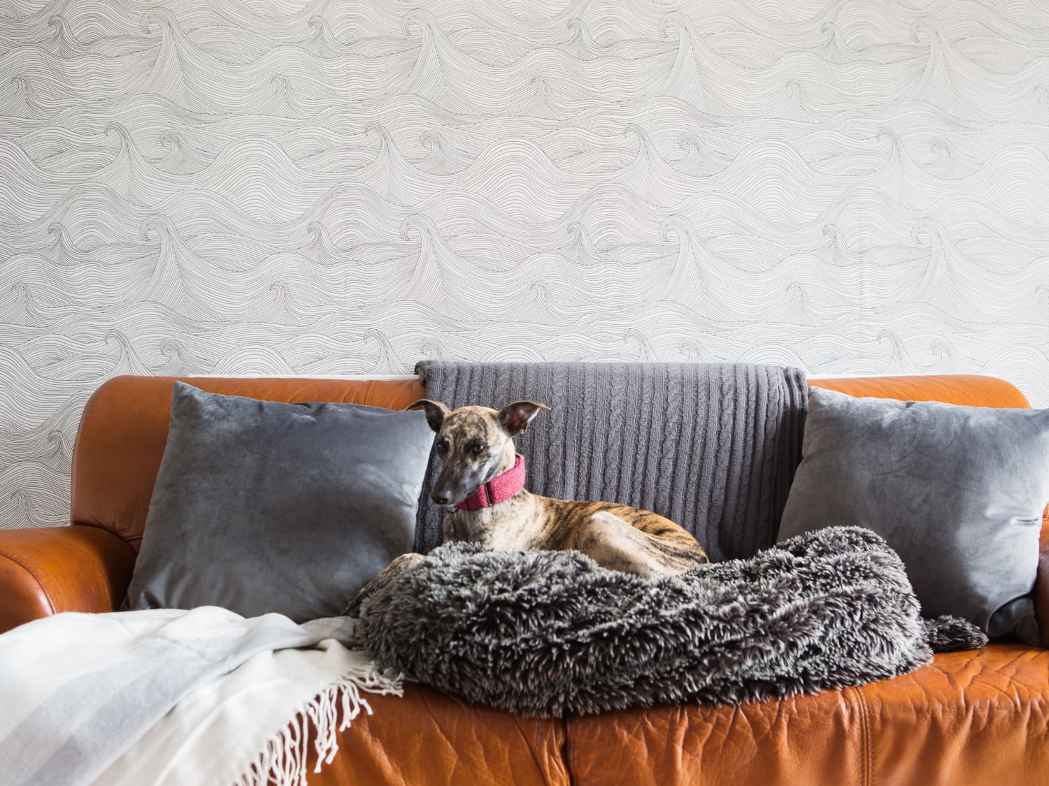 Cheap Ways To Reupholster Furniture Apartment Therapy