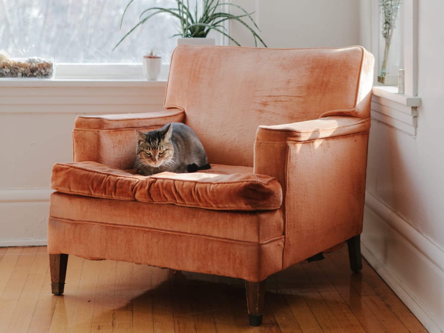 Simple Ways To Turn Any Space Into A Sanctuary Apartment Therapy