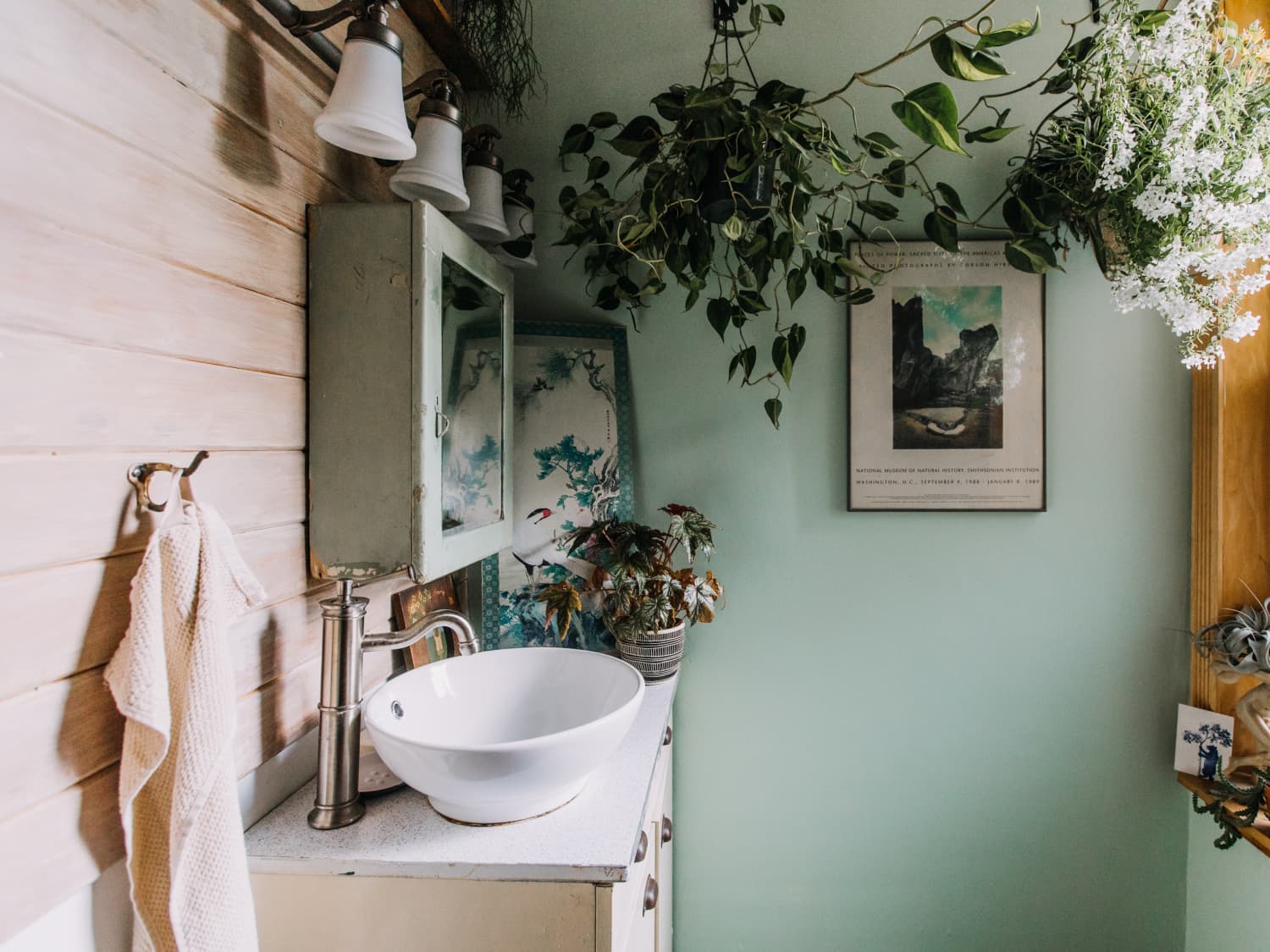 10 Best Bathroom Plants Houseplants For Warm Humid Spaces