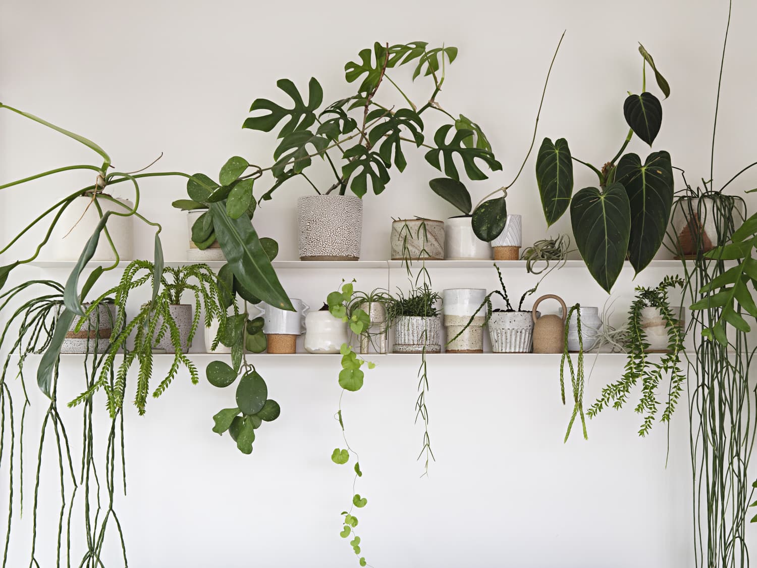 The best shower caddy for the eucalyptus shower trend