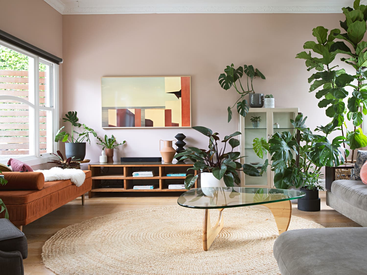 Best Indoor Trees - Large Floor Plants for a Bold Statement | Apartment  Therapy