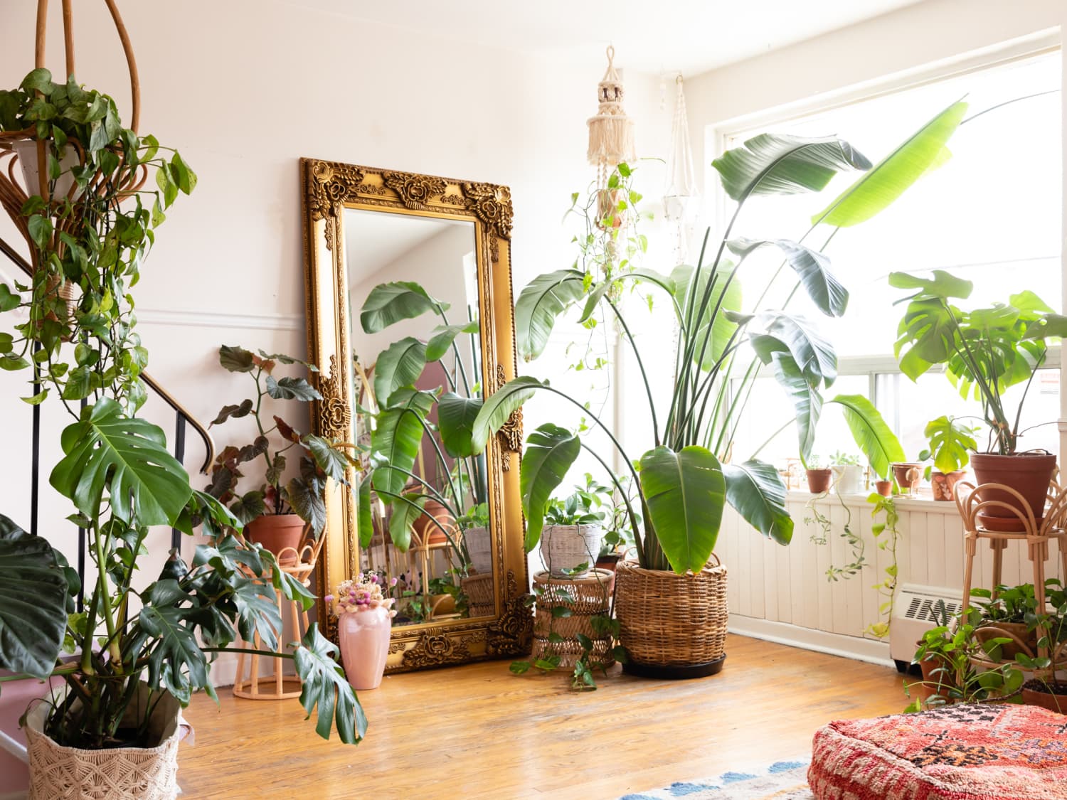 18 Best Indoor Planters - Stylish Pots for Indoor Plants