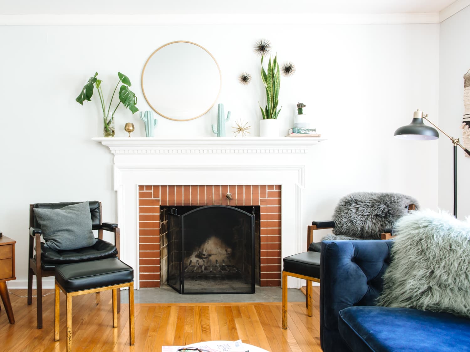 Best Living Room Plants Apartment Therapy