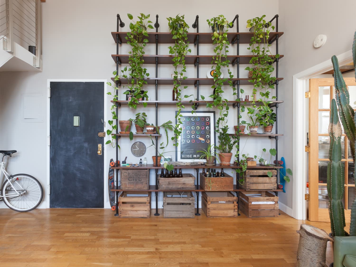 Heartleaf Philodendron Plant Care How To Grow Maintain