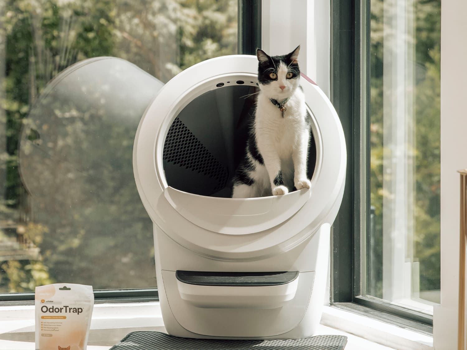 Open Air How To Get Cat To Use Litter Robot Open Air Free Litter