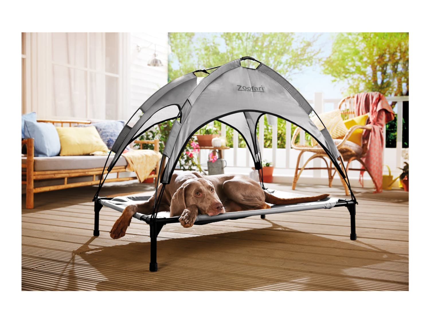 ontwerper Weggegooid In zicht Lidl Is Selling a Dog Bed with a Sun Shade | Apartment Therapy