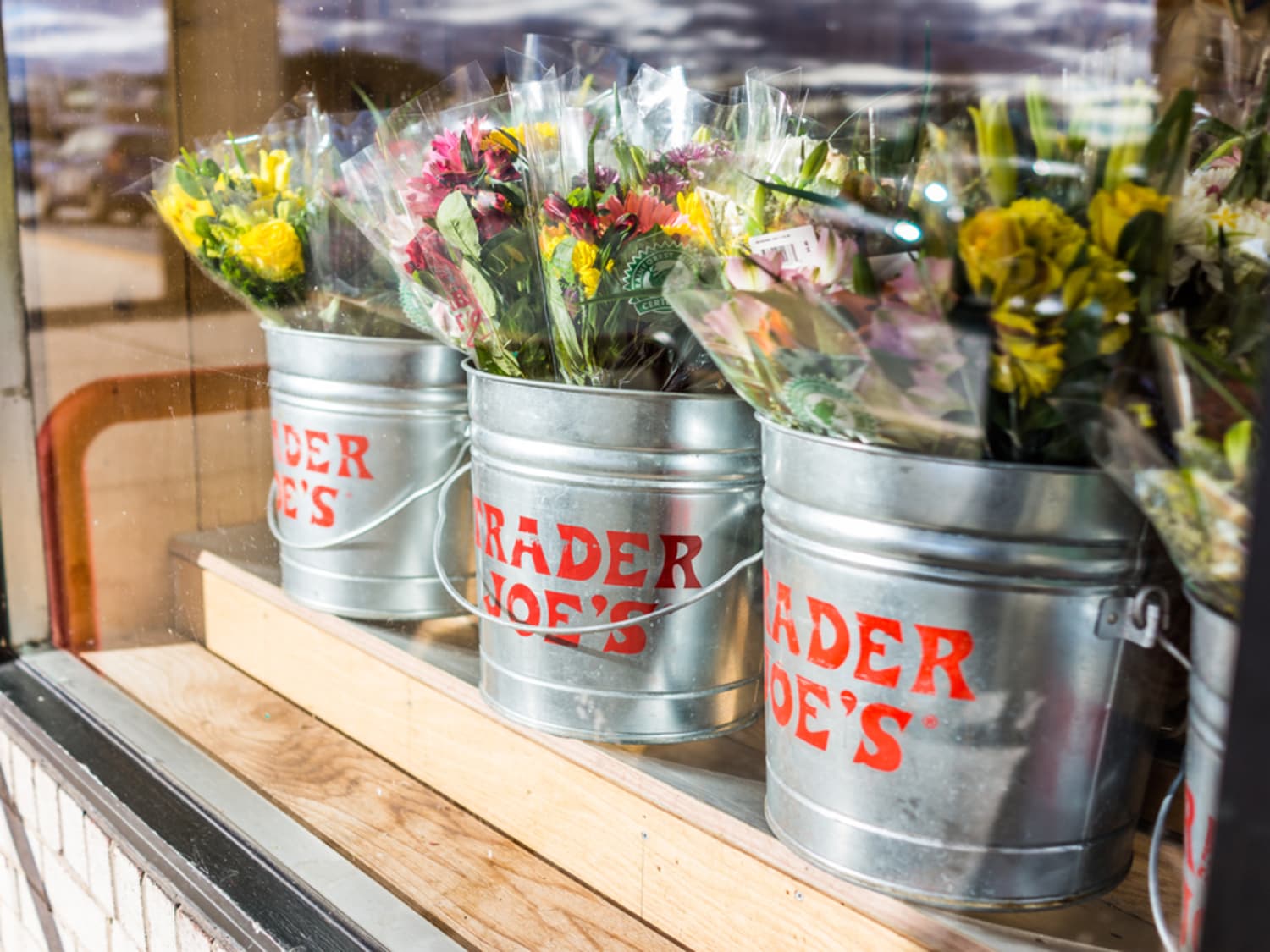 Trader Joe S Is Selling Yogi Skeleton Air Plants Apartment Therapy