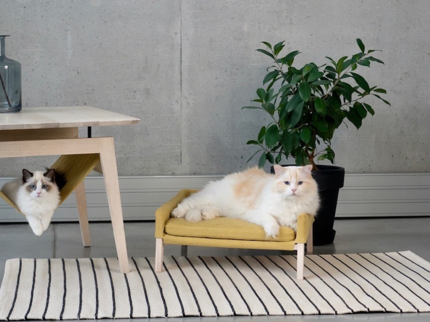 minimalist cat furniture