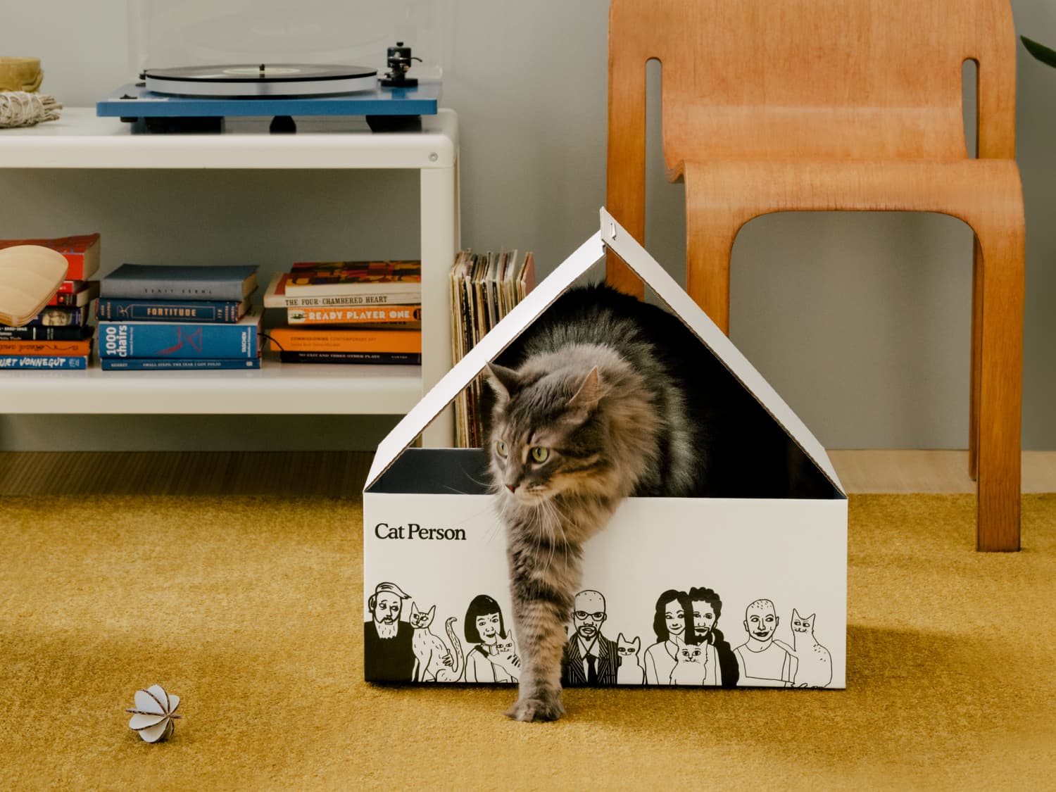 Cat Person Launch Apartment Therapy