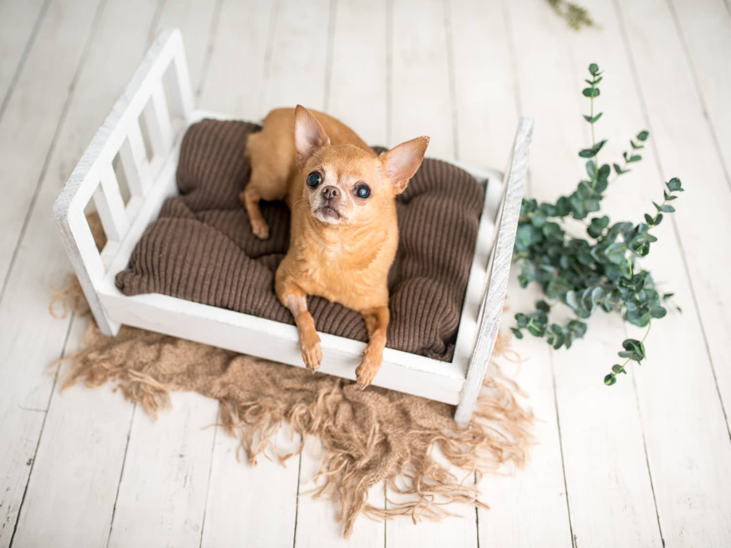 ikea baby doll bed