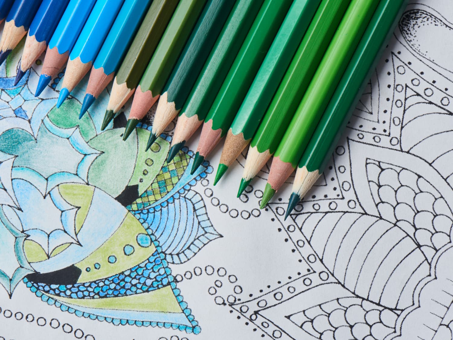 Mind Set Coloring Therapy - Adult coloring book + Colored Pencils