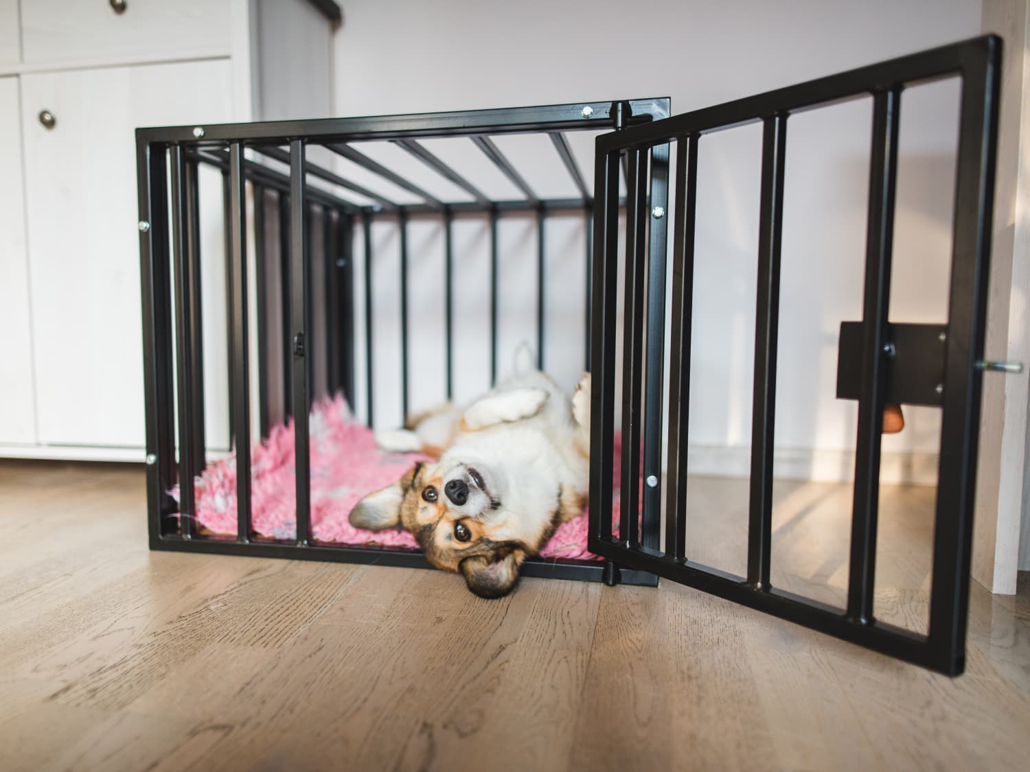 DIY Dog Crate Hack