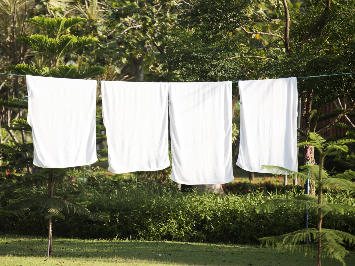 Two towels hanging on the Clothes line.Clean white towels on a