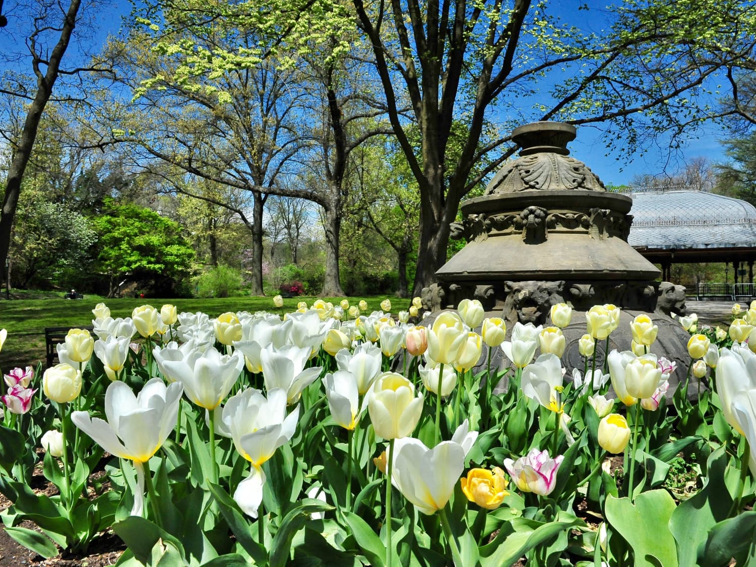 8 Garden Tips From Frederick Law Olmsted The Father Of Landscape Architecture Apartment Therapy