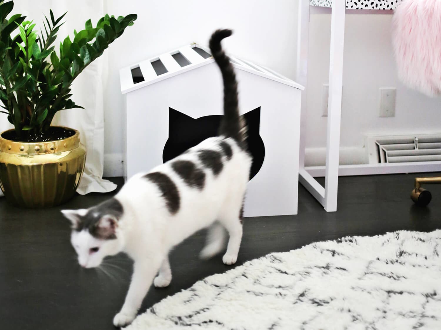 Diy plant clearance litter box