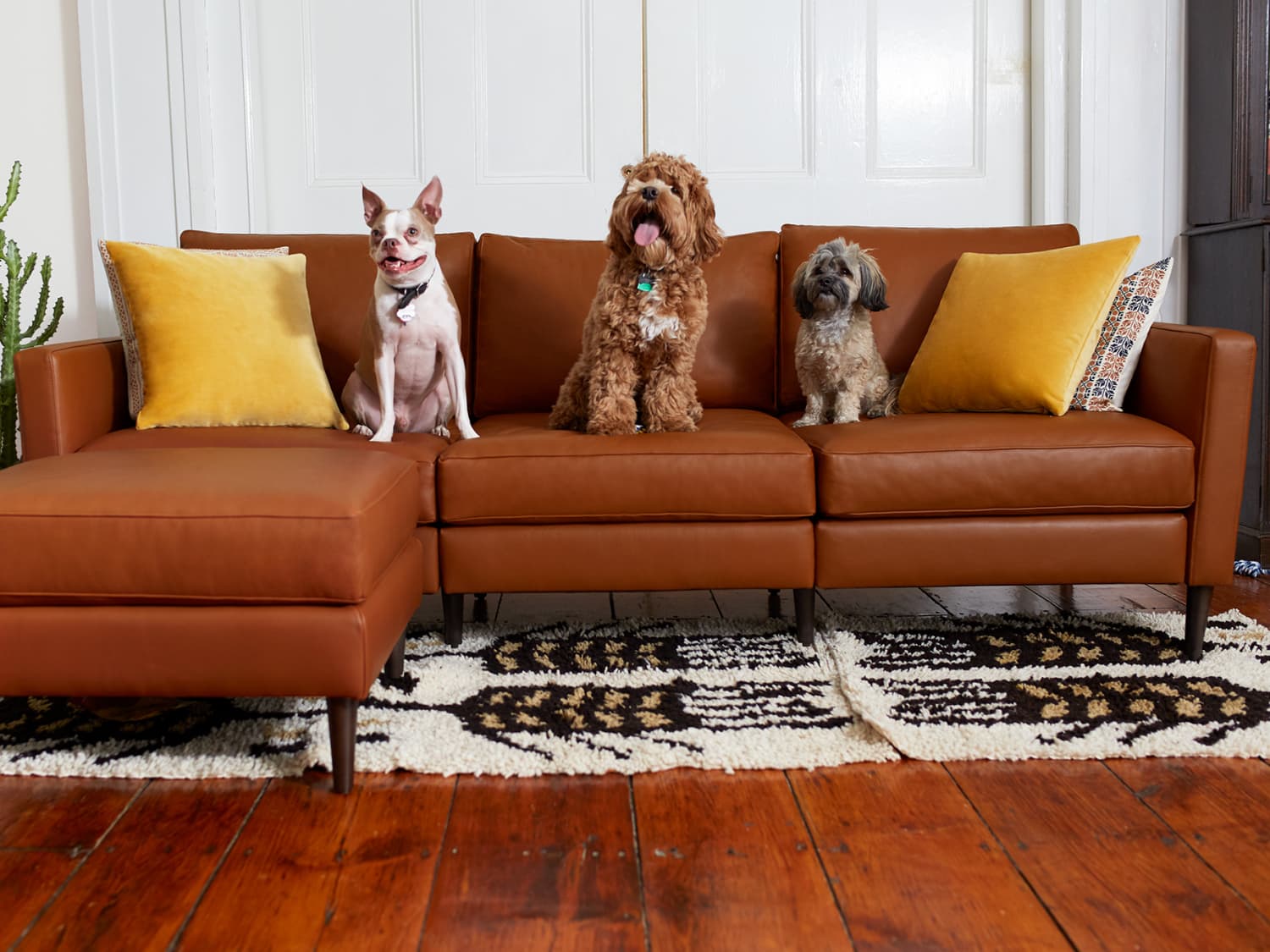 Allform sofa deals