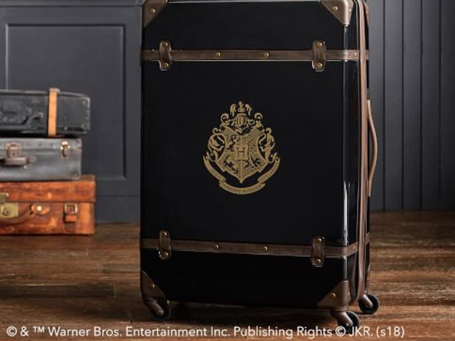 Harry potter trolley bag on sale