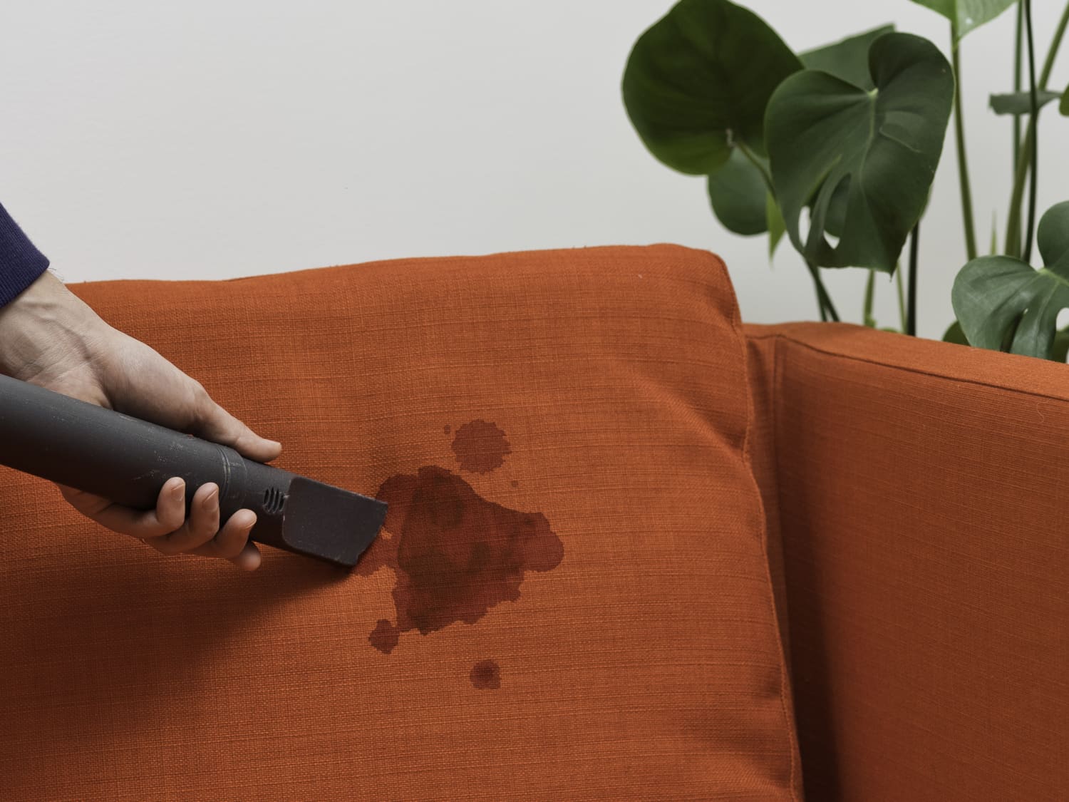Couch stain sales remover