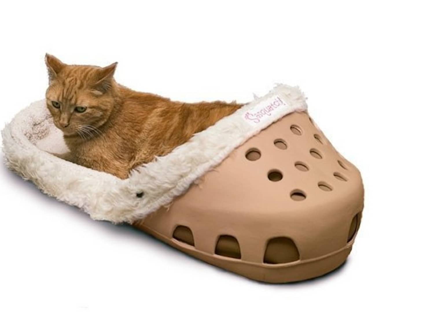 Croc cat bed deals