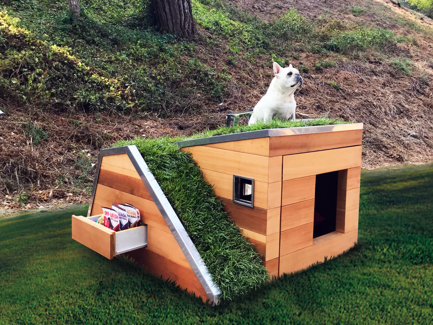 Top dog sales houses