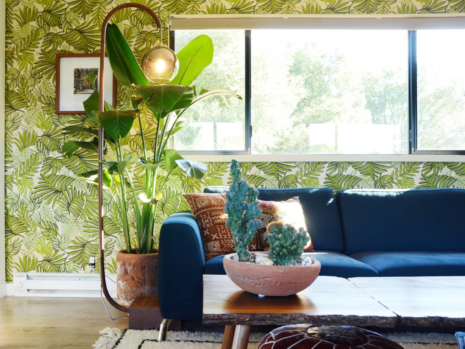 Minimalist living shop room with plants