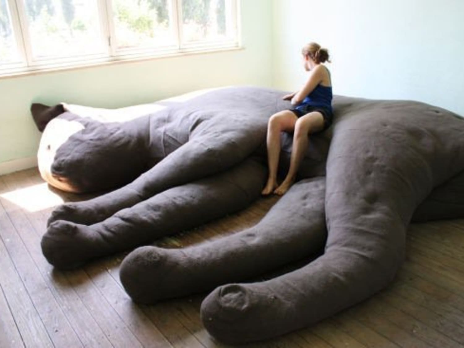 Weird shop shaped couches