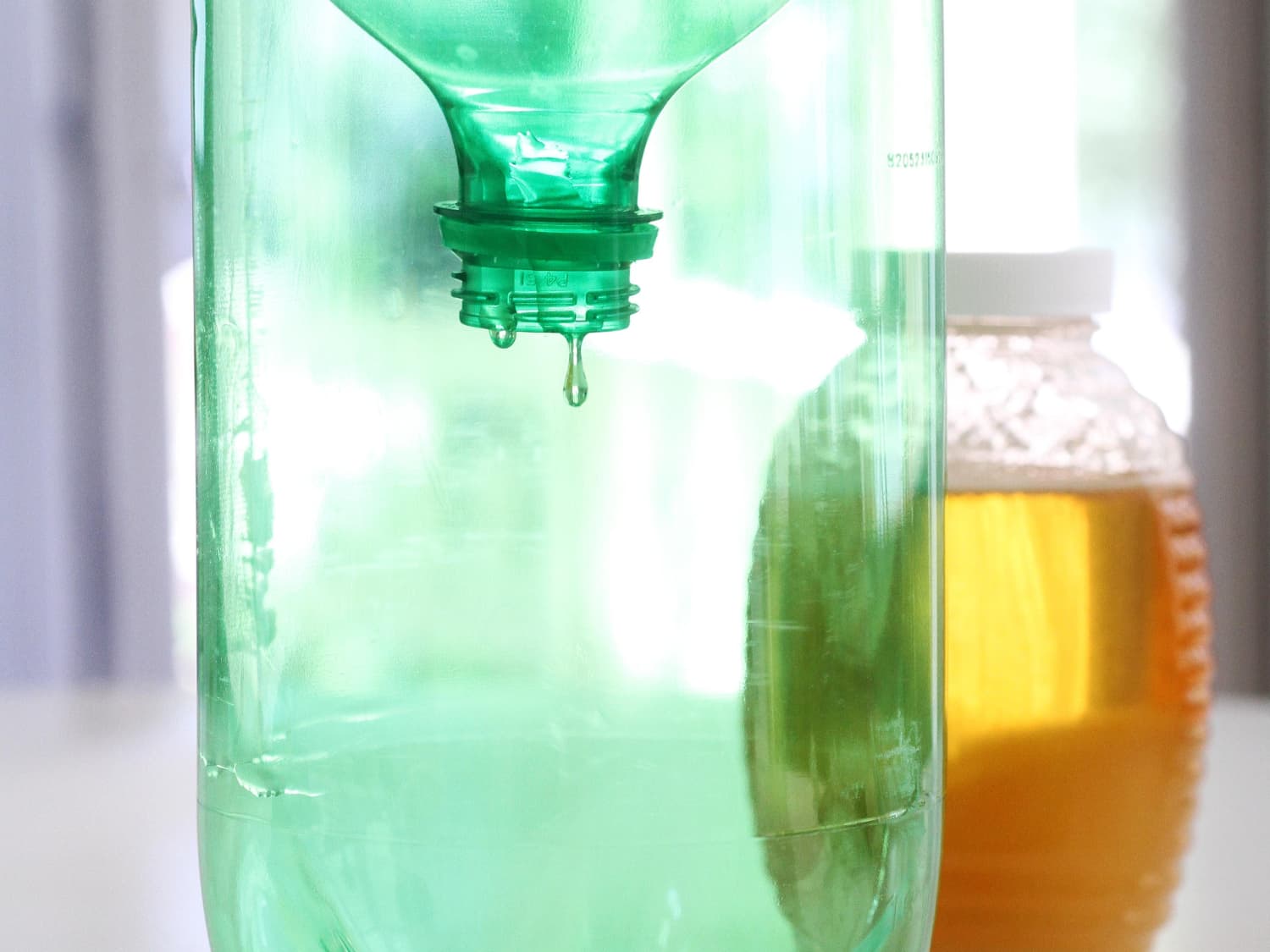How To Make Soda Bottle Wasp Trap Apartment Therapy