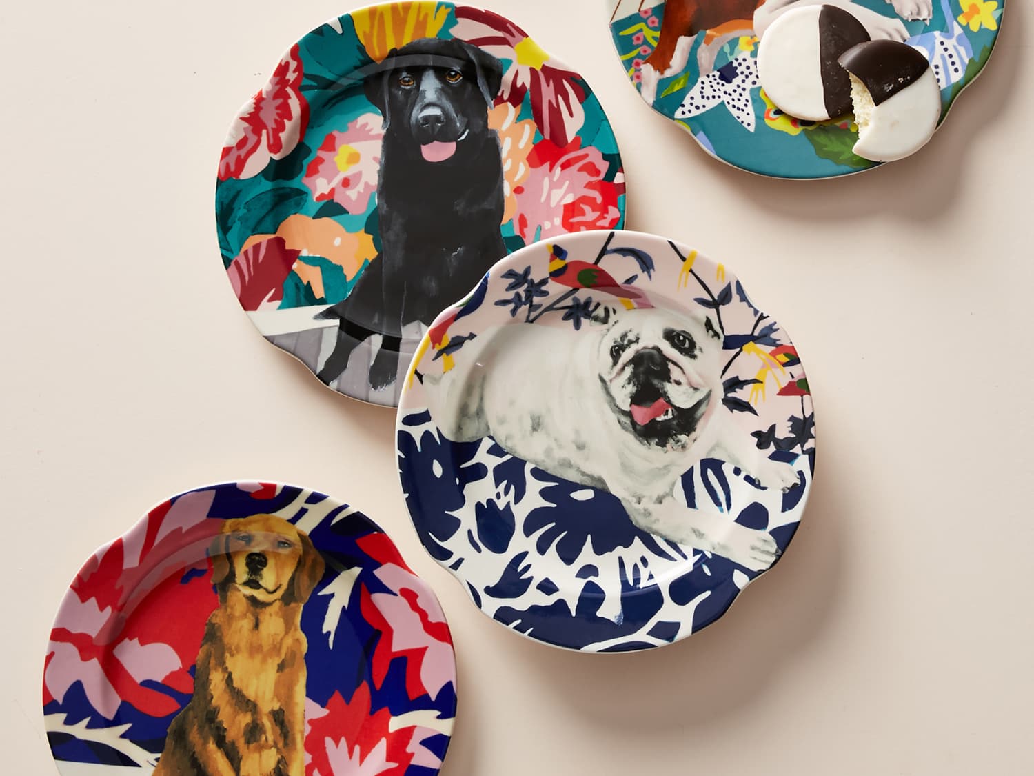 Plate dogs top