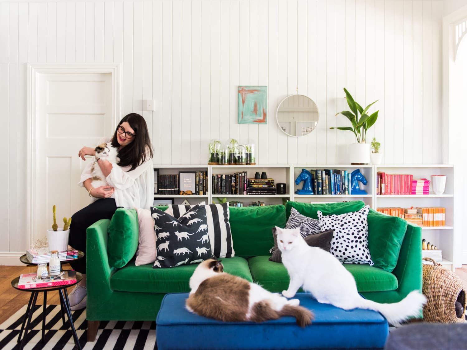 How To Clean Pet Hair From Furniture Floors More Apartment