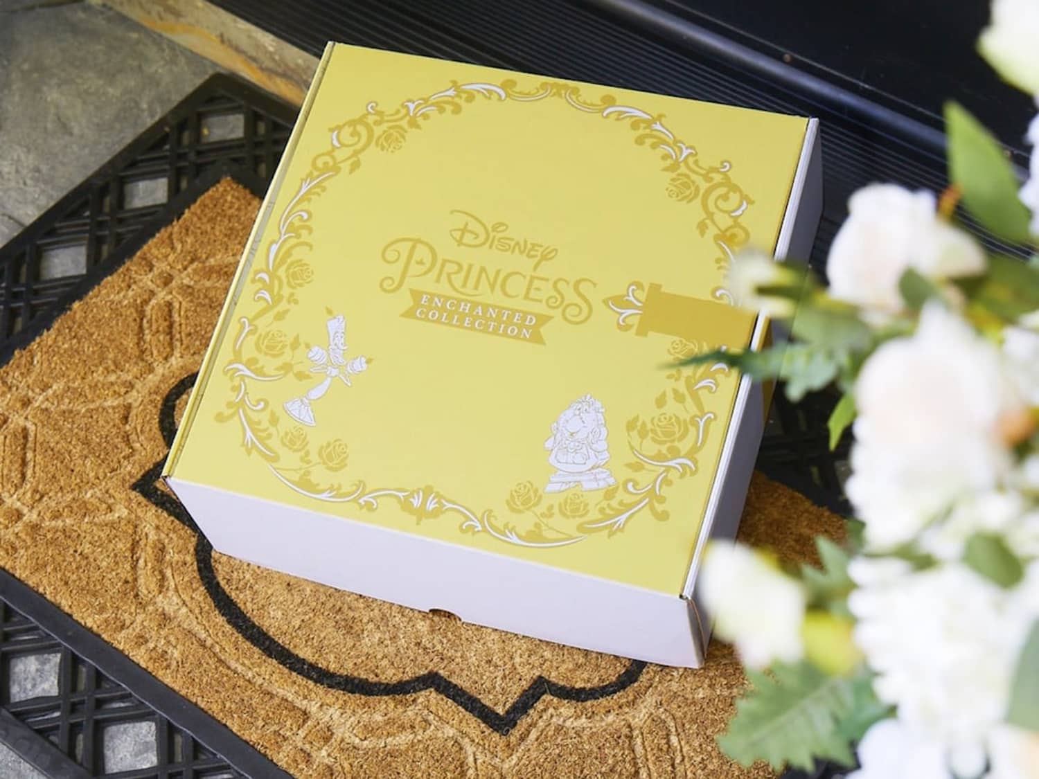 Disney enchanted clearance princess collection