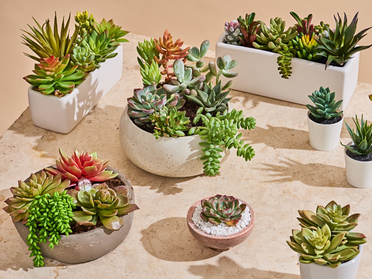 Fake hotsell succulent plants