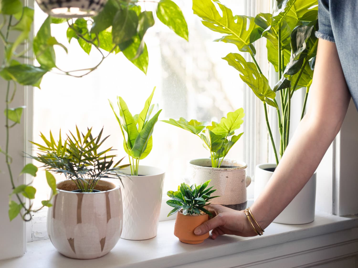 Artificial plants shop with pots