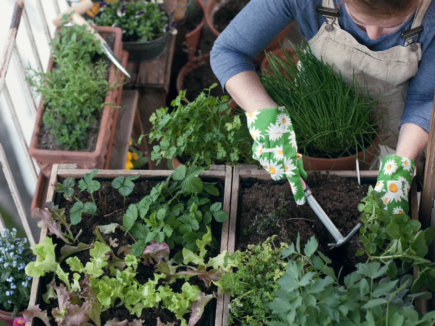 Reddit gardening deals