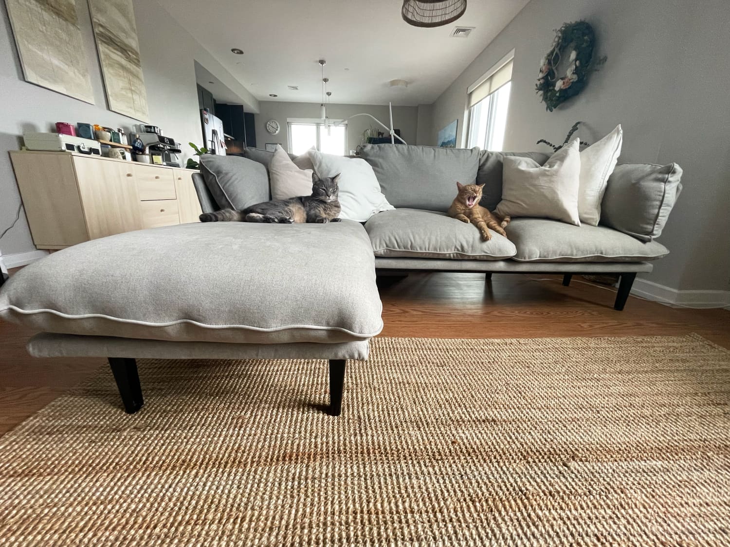 The Floyd Sofa Is the Perfect Couch for Cat Owners Review Apartment Therapy