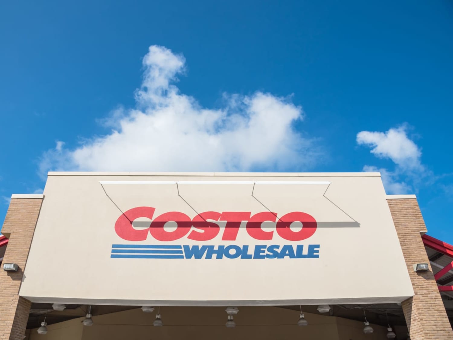 Costco big blanket outlet