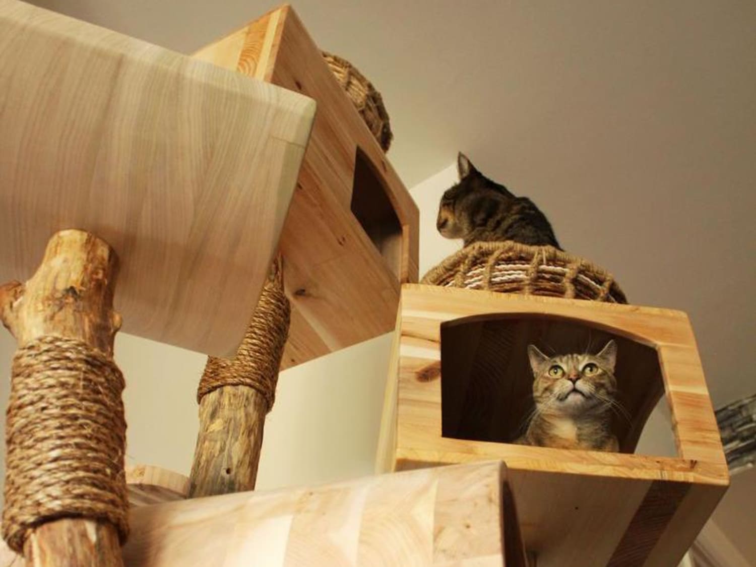 Custom quality cat sales furniture