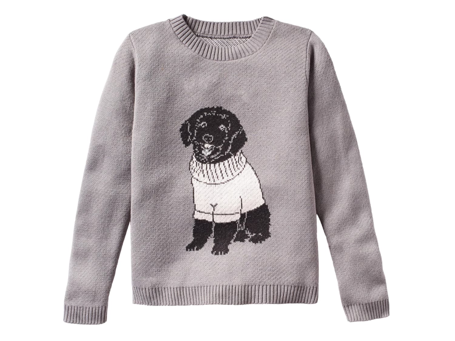 Sweaters with dogs on 2025 them