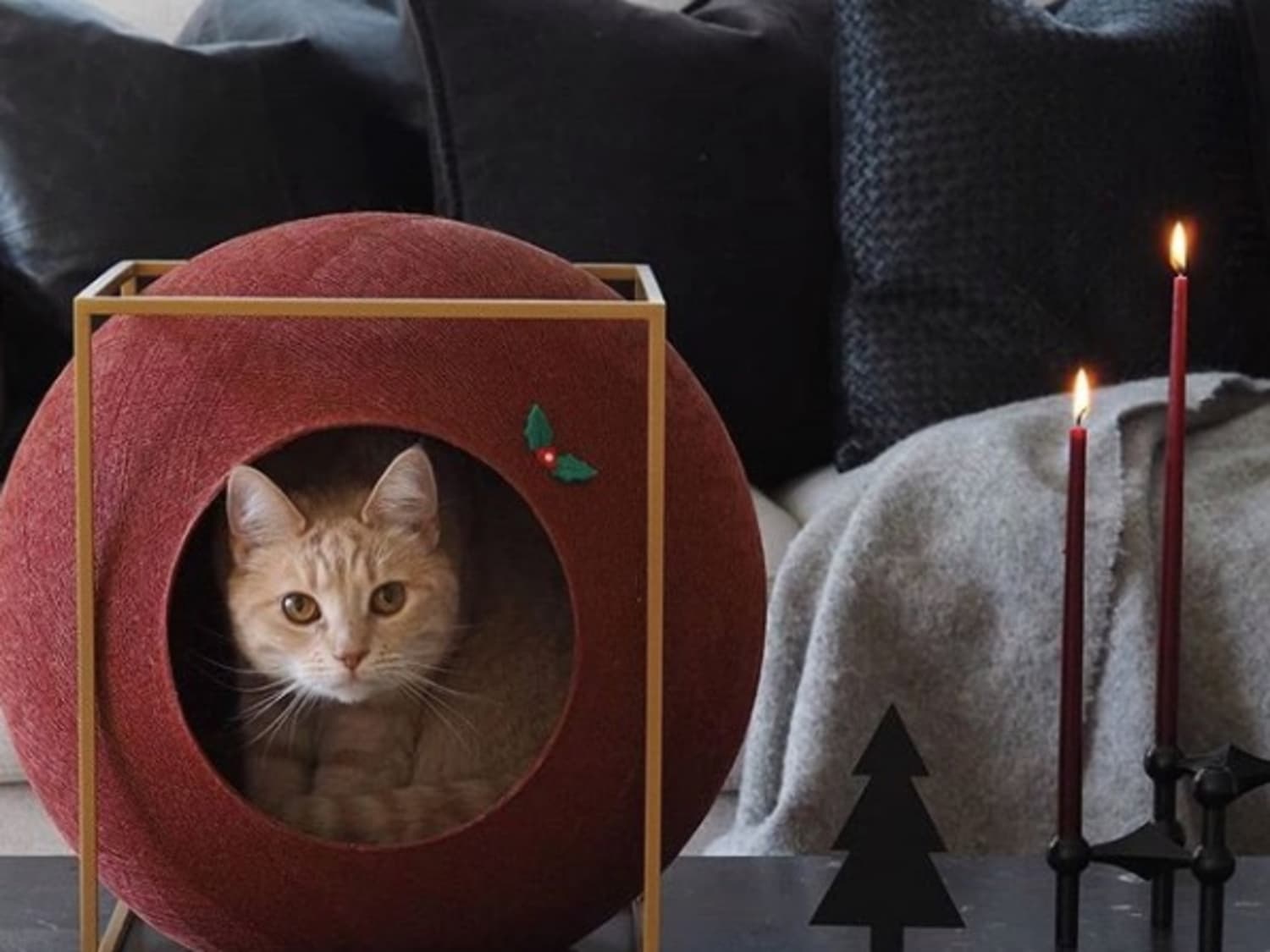 Meyou paris cat ball shop