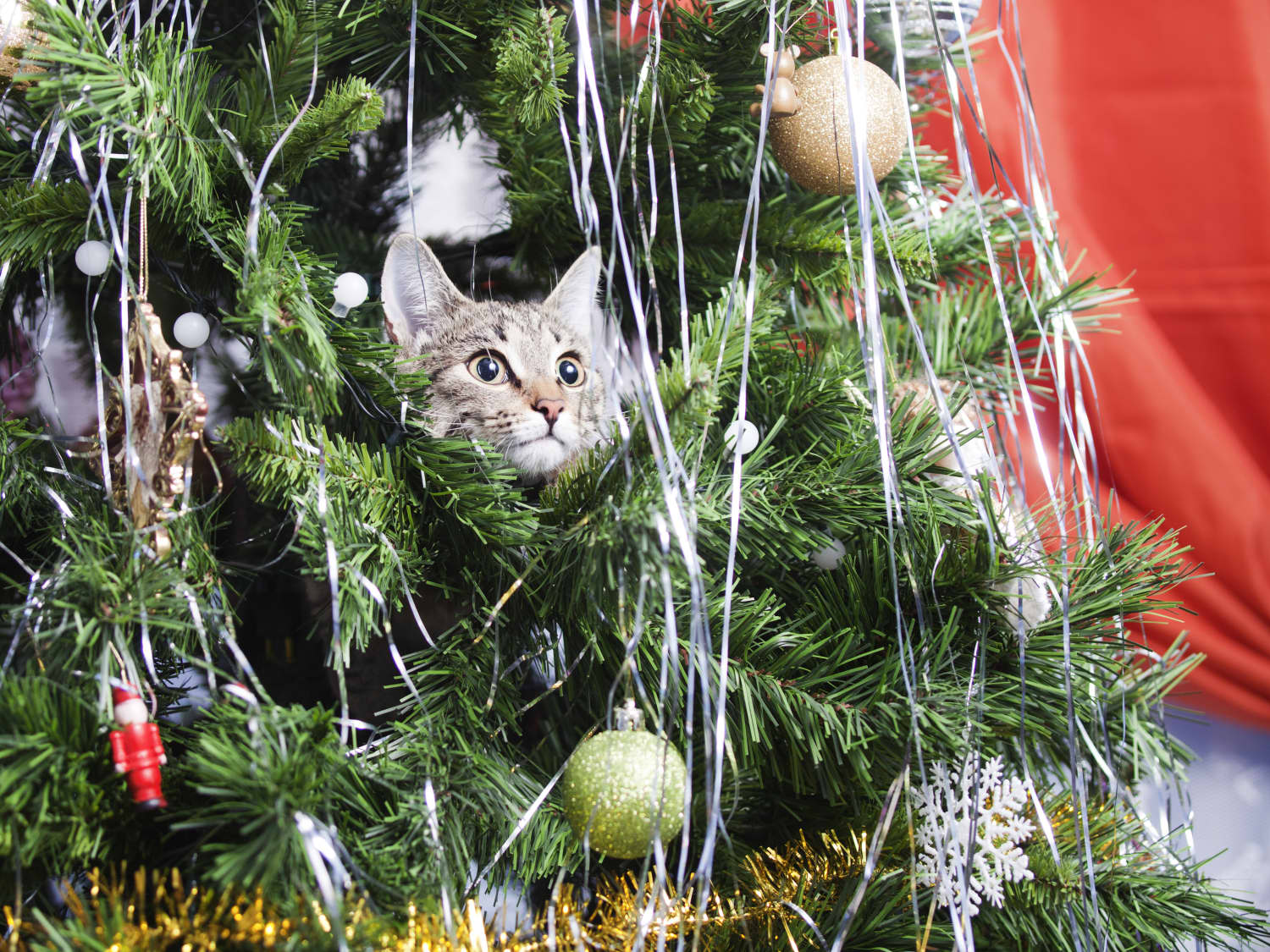 Target Is Selling Holiday Themed Cat Scratch Towers Apartment Therapy
