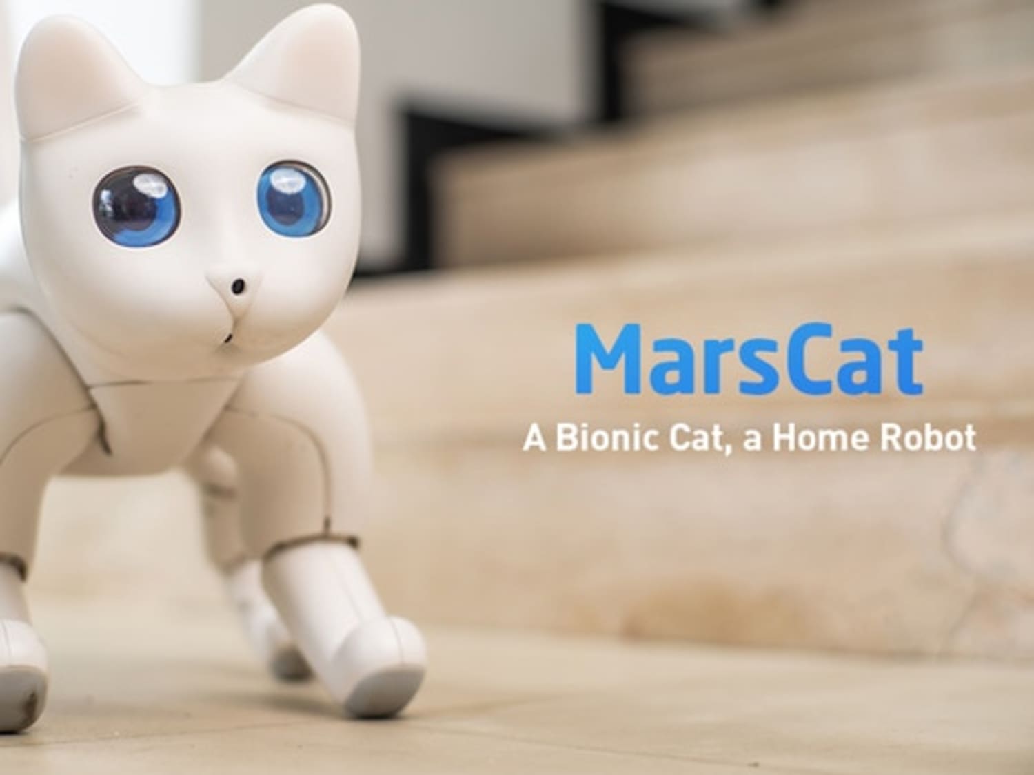 At robot cat online