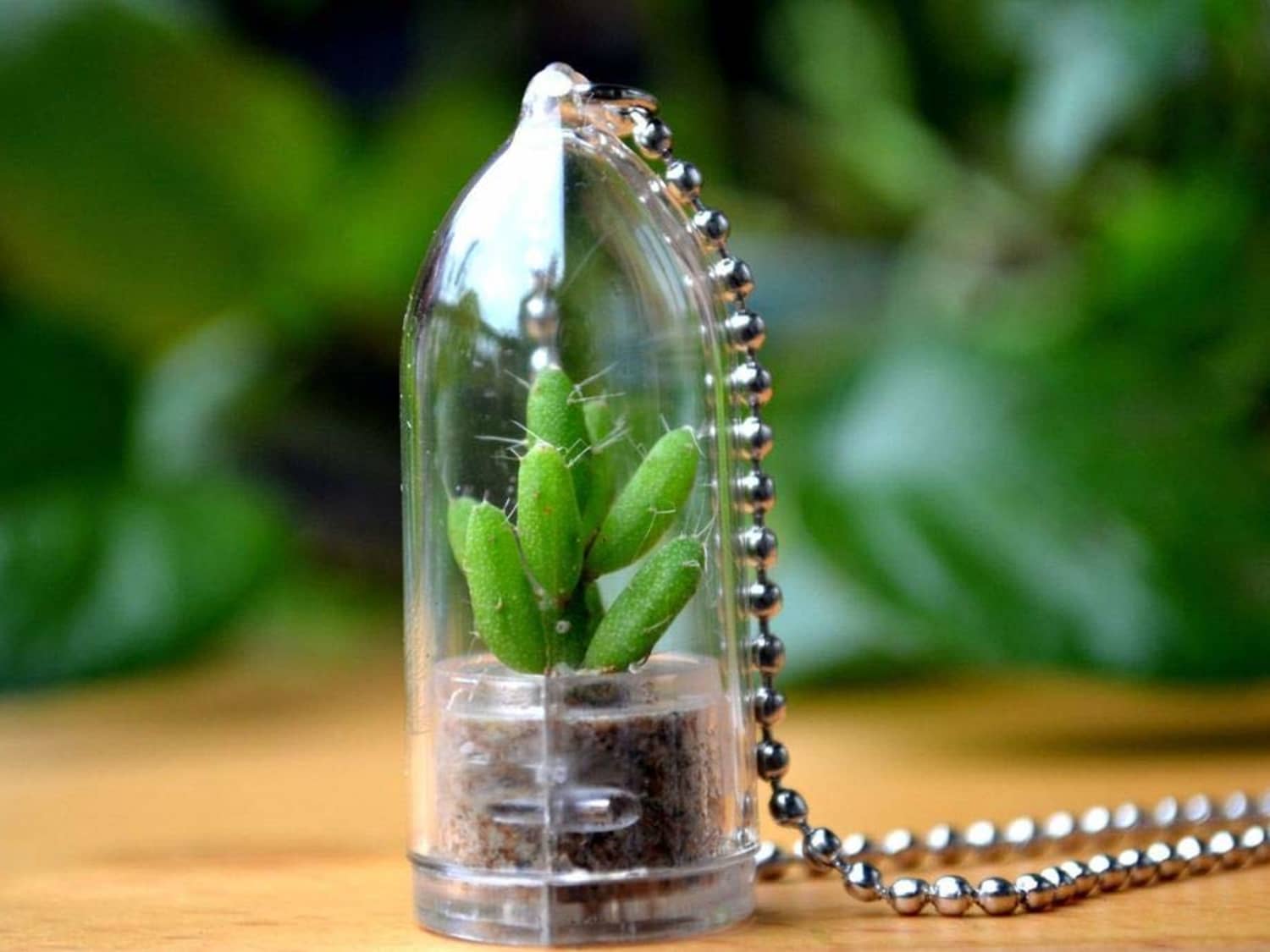 Living plant necklace shop