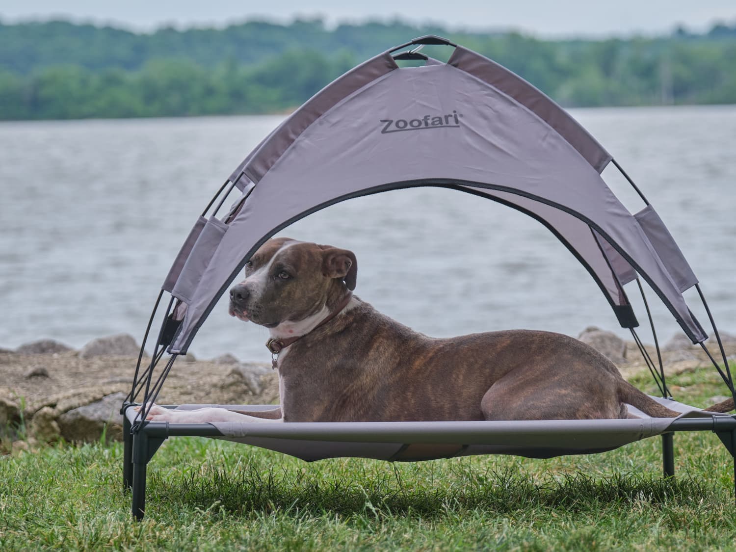 Dog cooling mat shop lidl