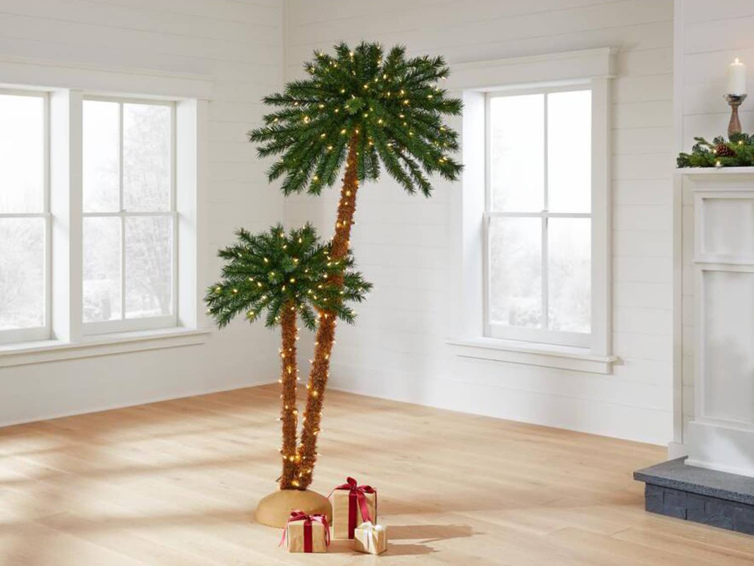 Christmas tree hot sale palm tree