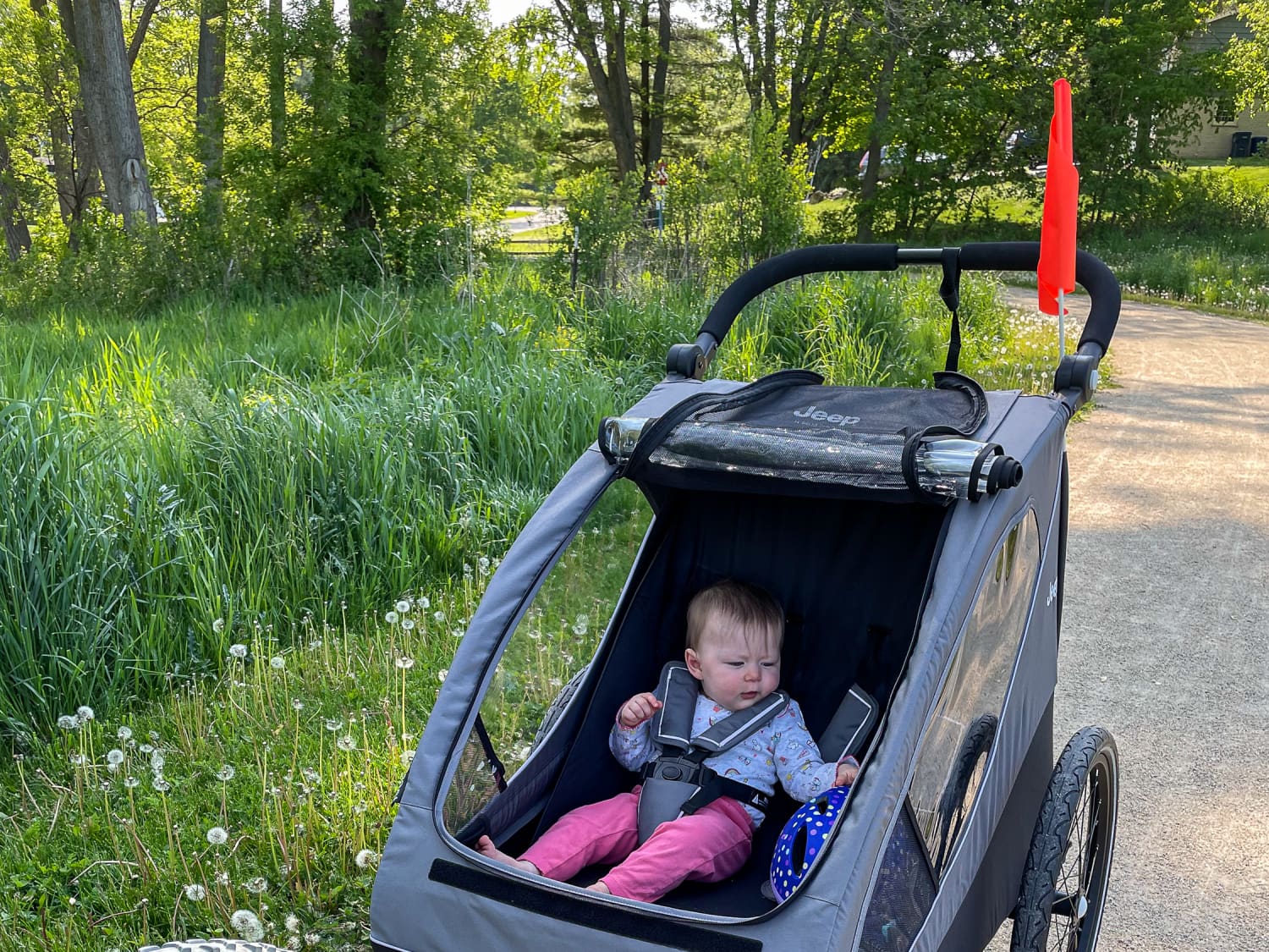 Infant car seat in bike top trailer